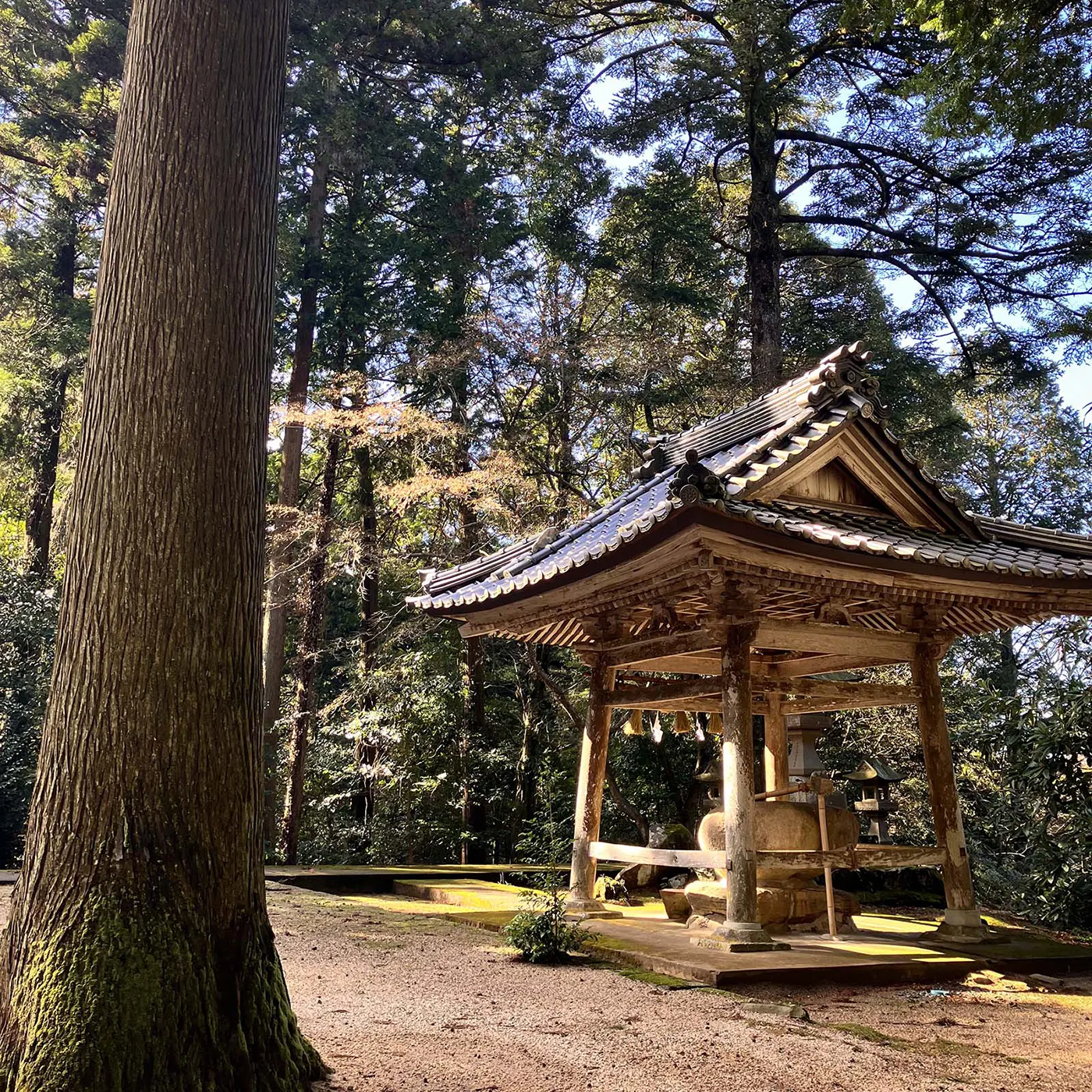 手水舎と境内